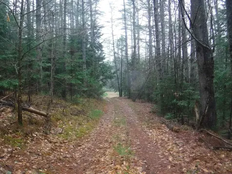 001 Sand County Road Haverhill NH 03774