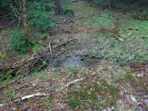 001 Sand County Road Haverhill NH 03774