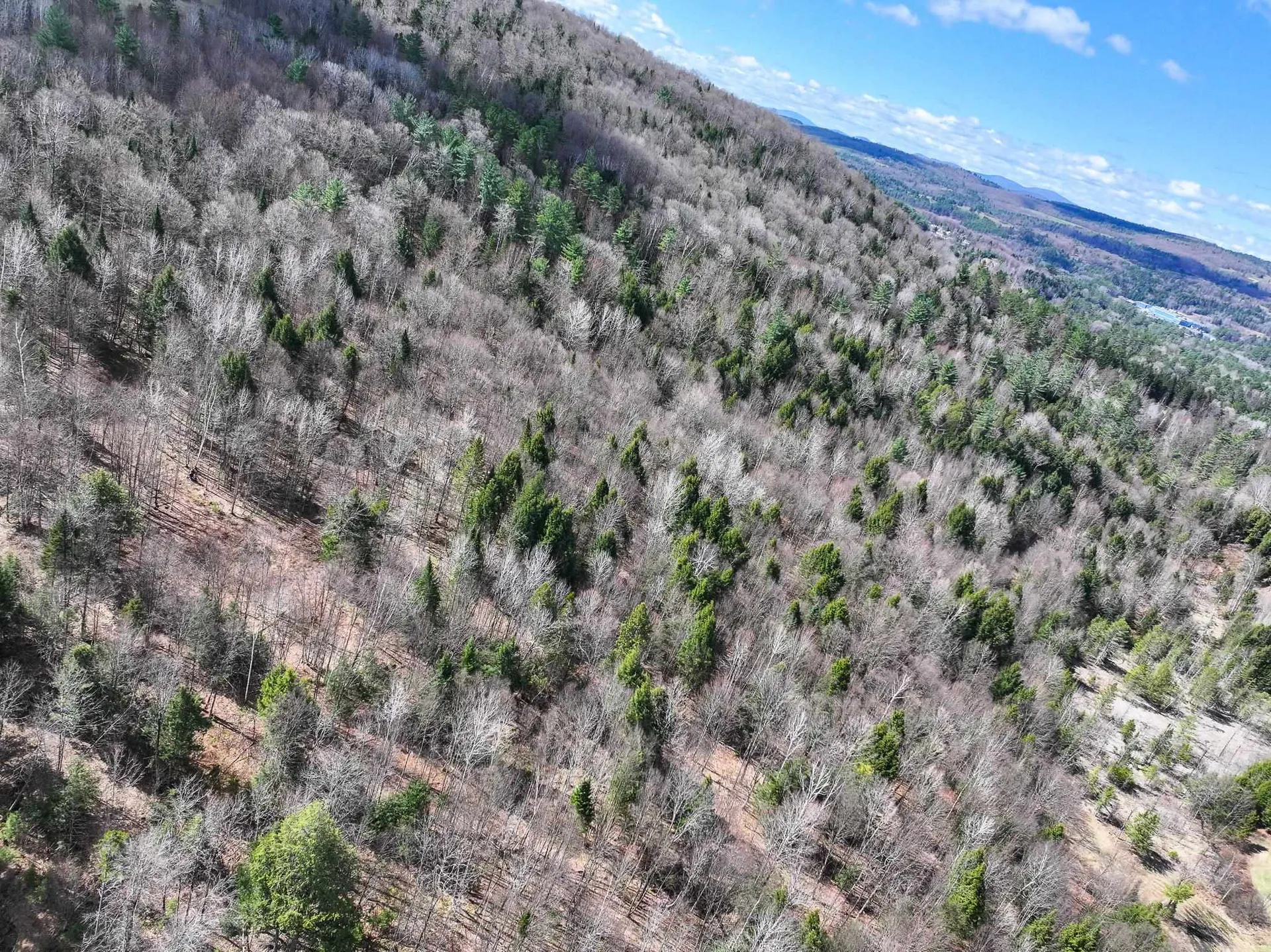00 Sugar House Road St. Johnsbury VT 05819