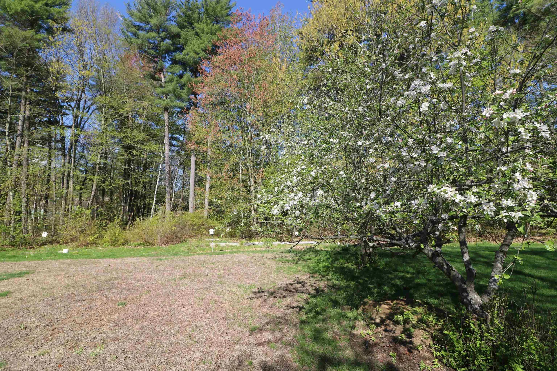 2 Blue Heron Drive Dover NH 03820