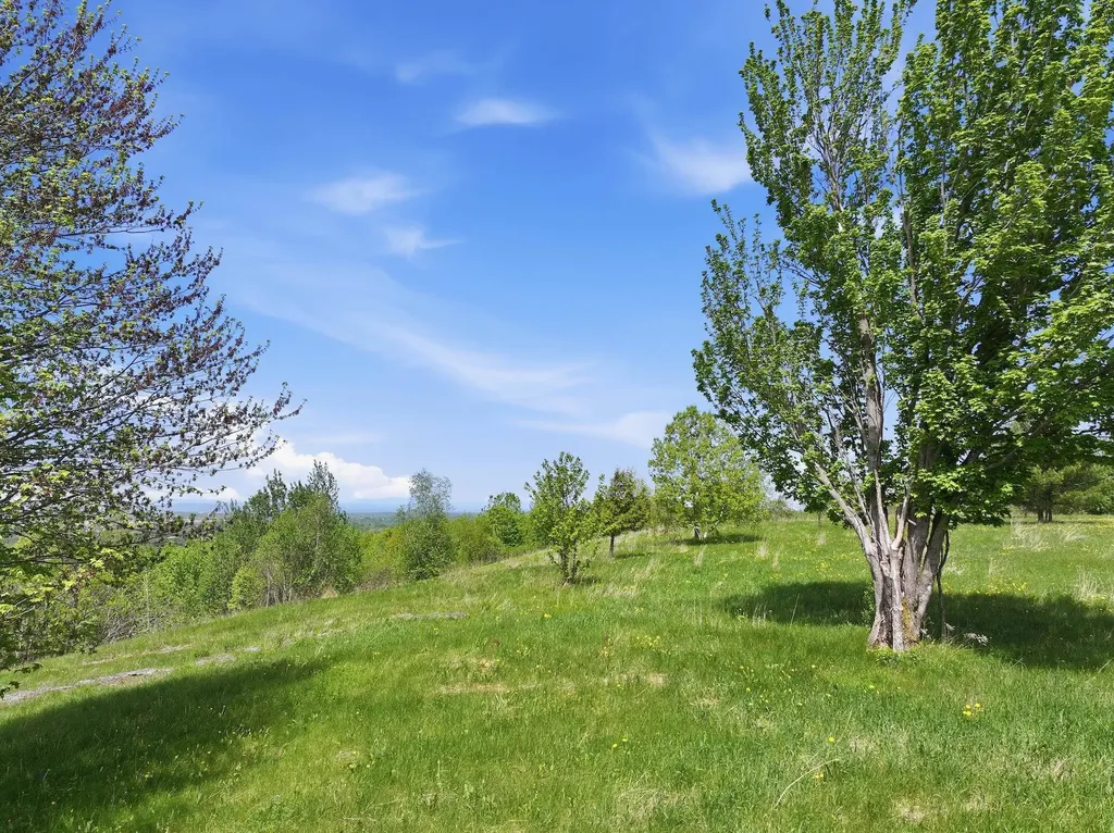 351 Ledgewood Drive Williston VT 05495