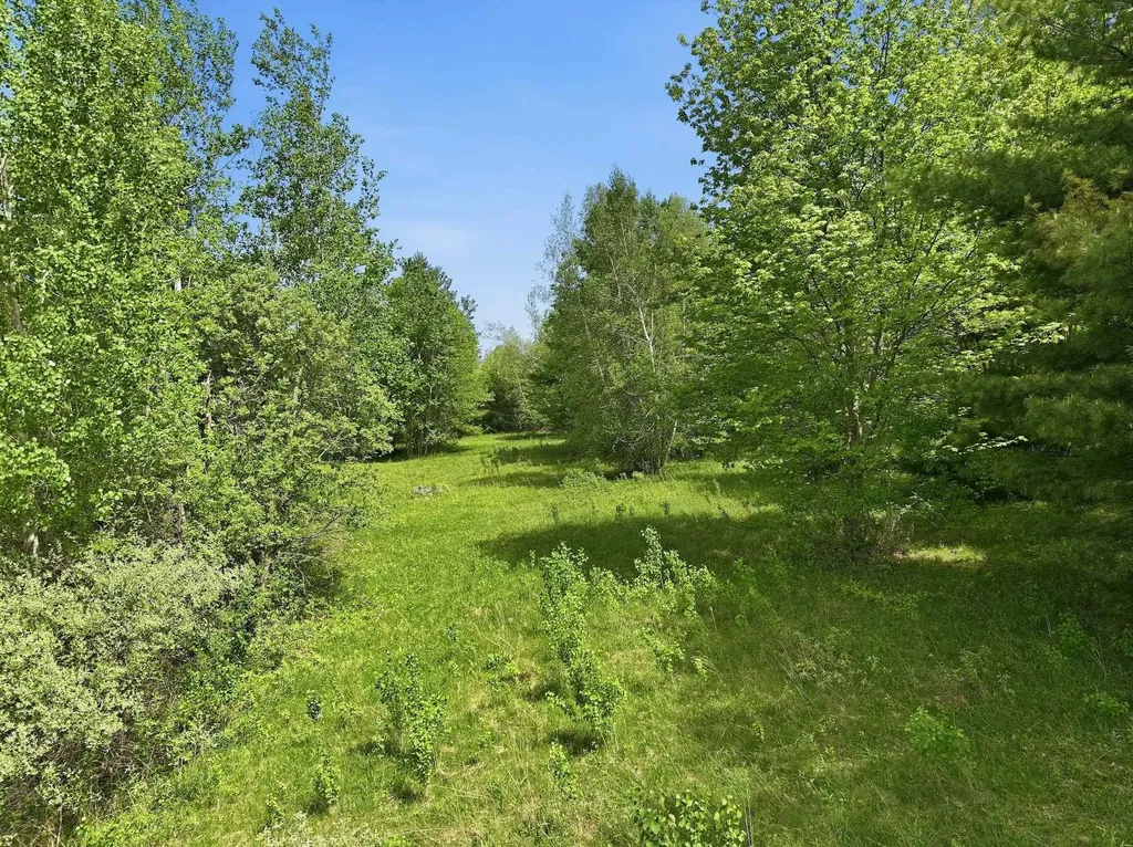 351 Ledgewood Drive Williston VT 05495
