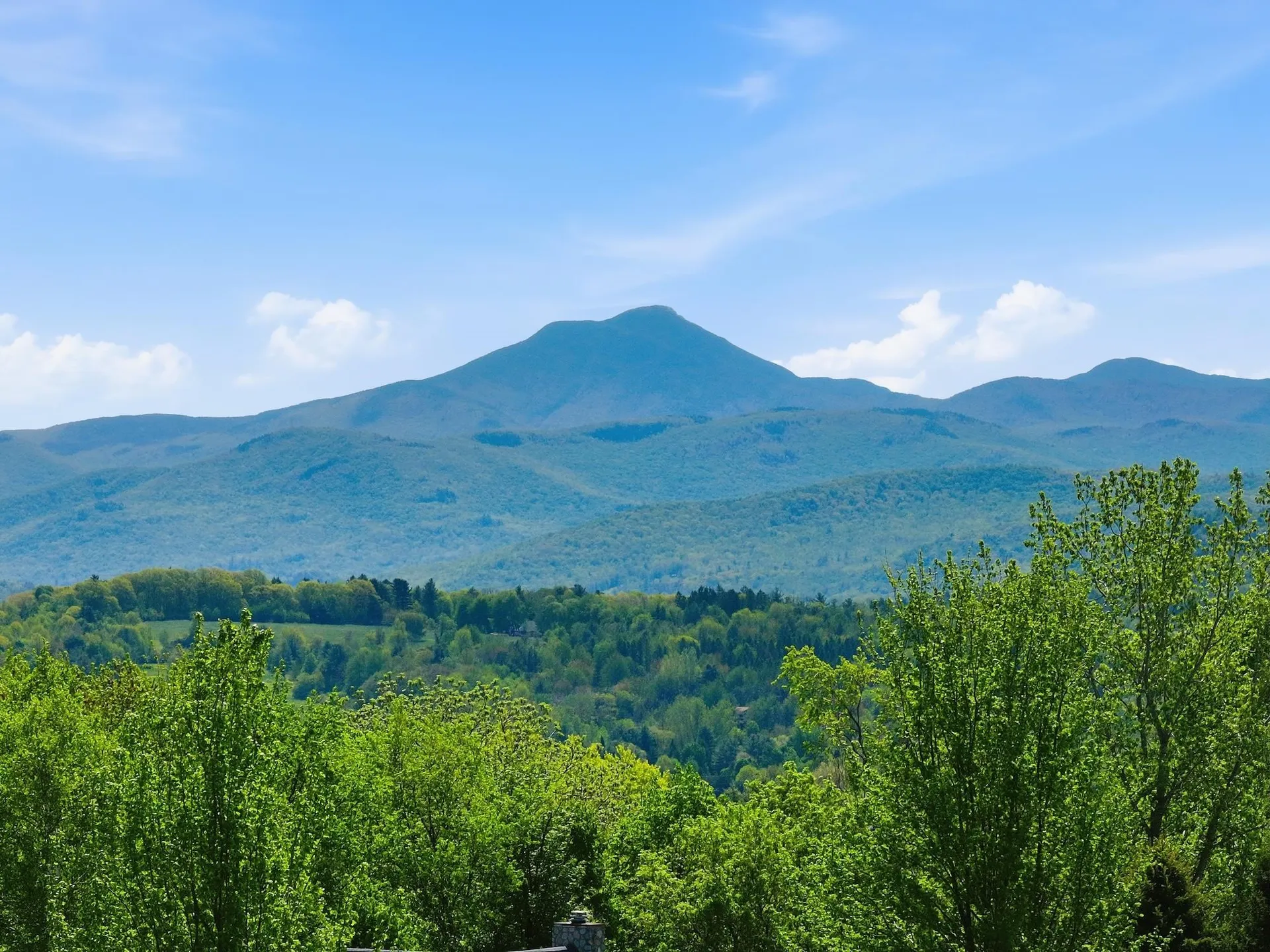 351 Ledgewood Drive Williston VT 05495