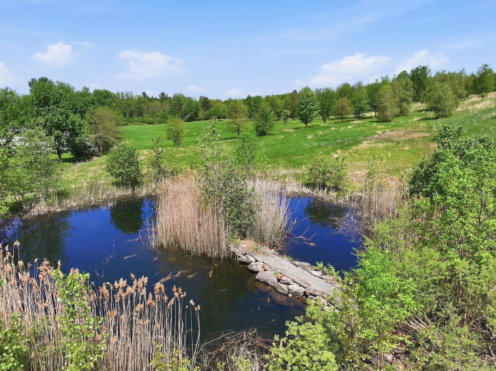 351 Ledgewood Drive Williston VT 05495