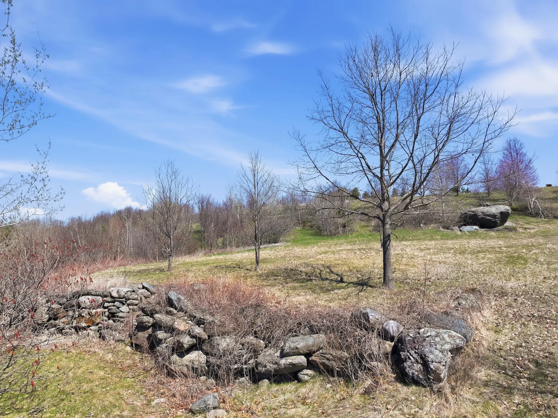 351 Ledgewood Drive Williston VT 05495