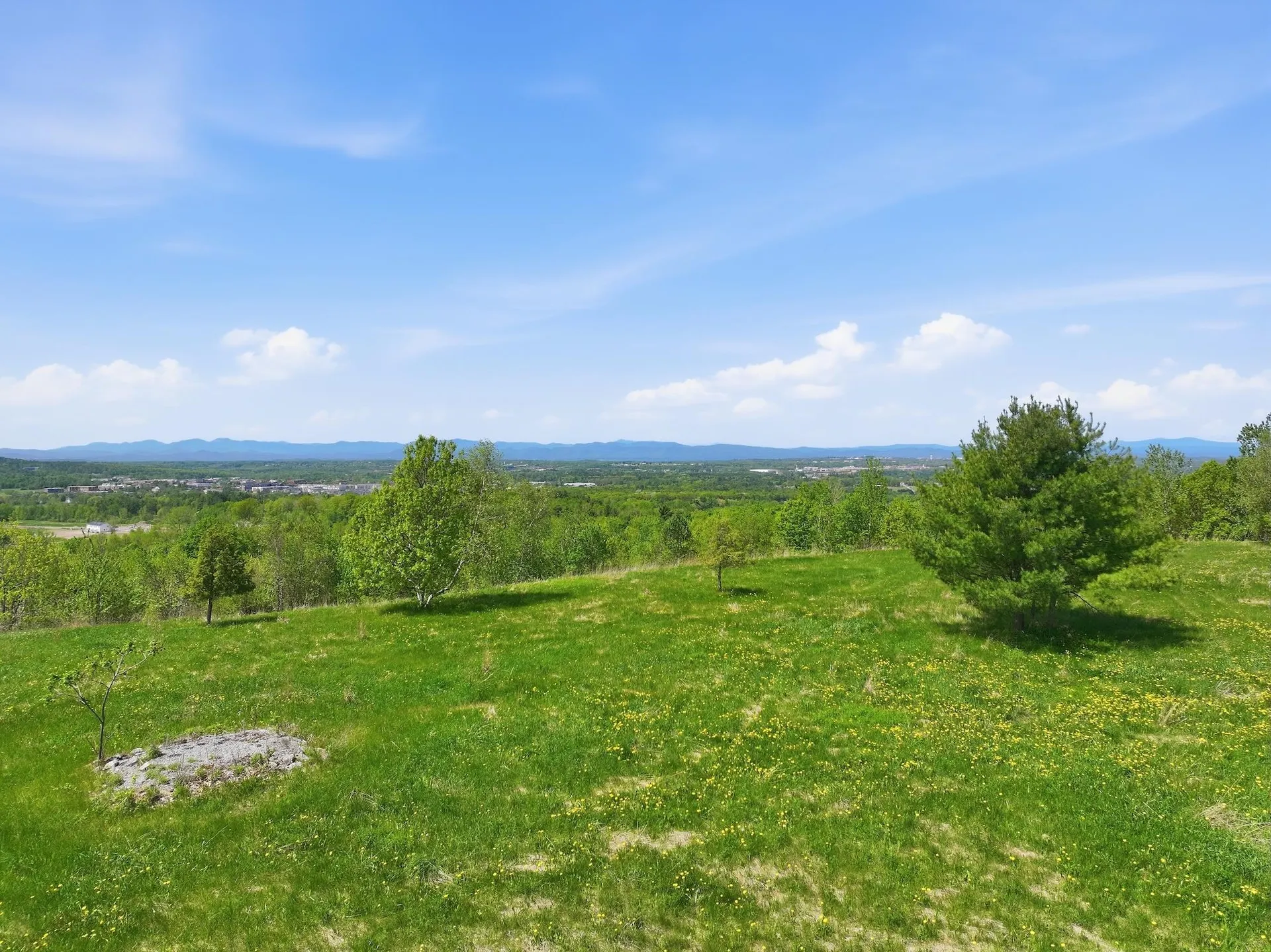 351 Ledgewood Drive Williston VT 05495