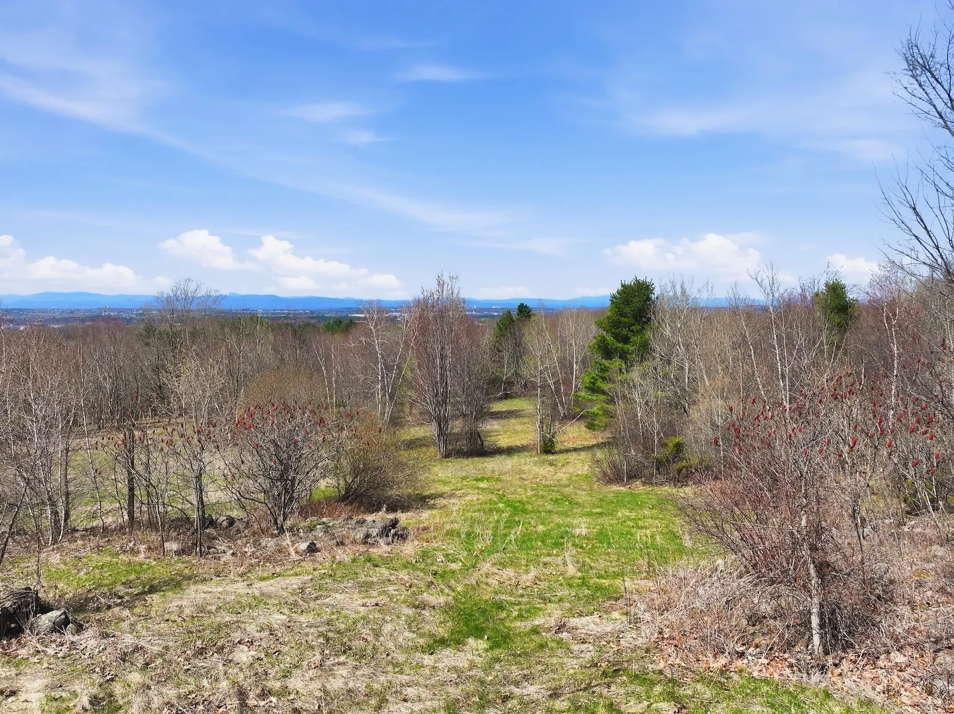 351 Ledgewood Drive Williston VT 05495