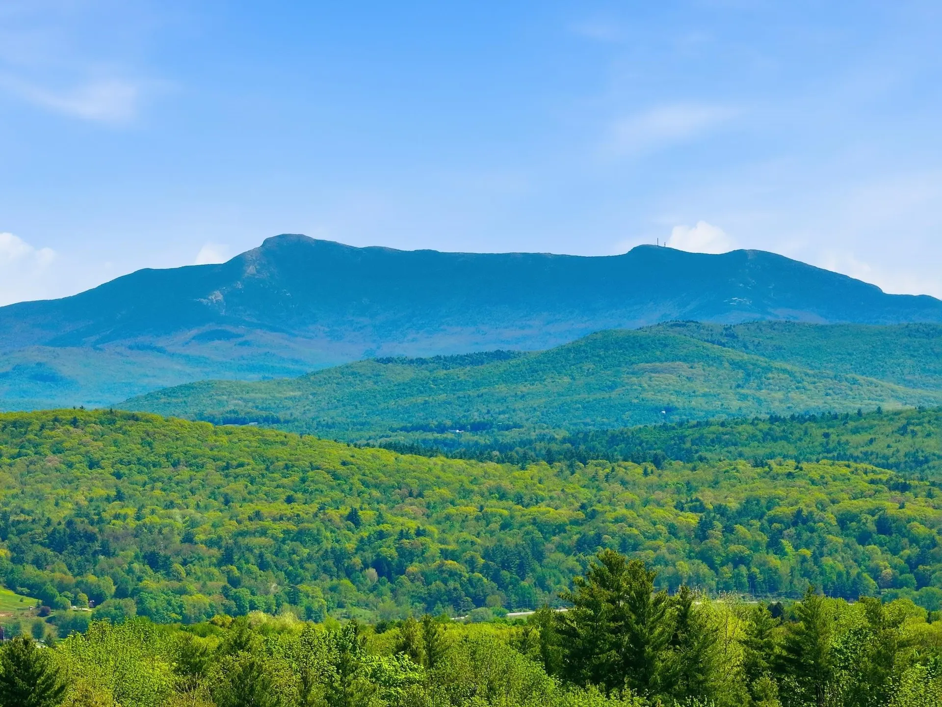 351 Ledgewood Drive Williston VT 05495