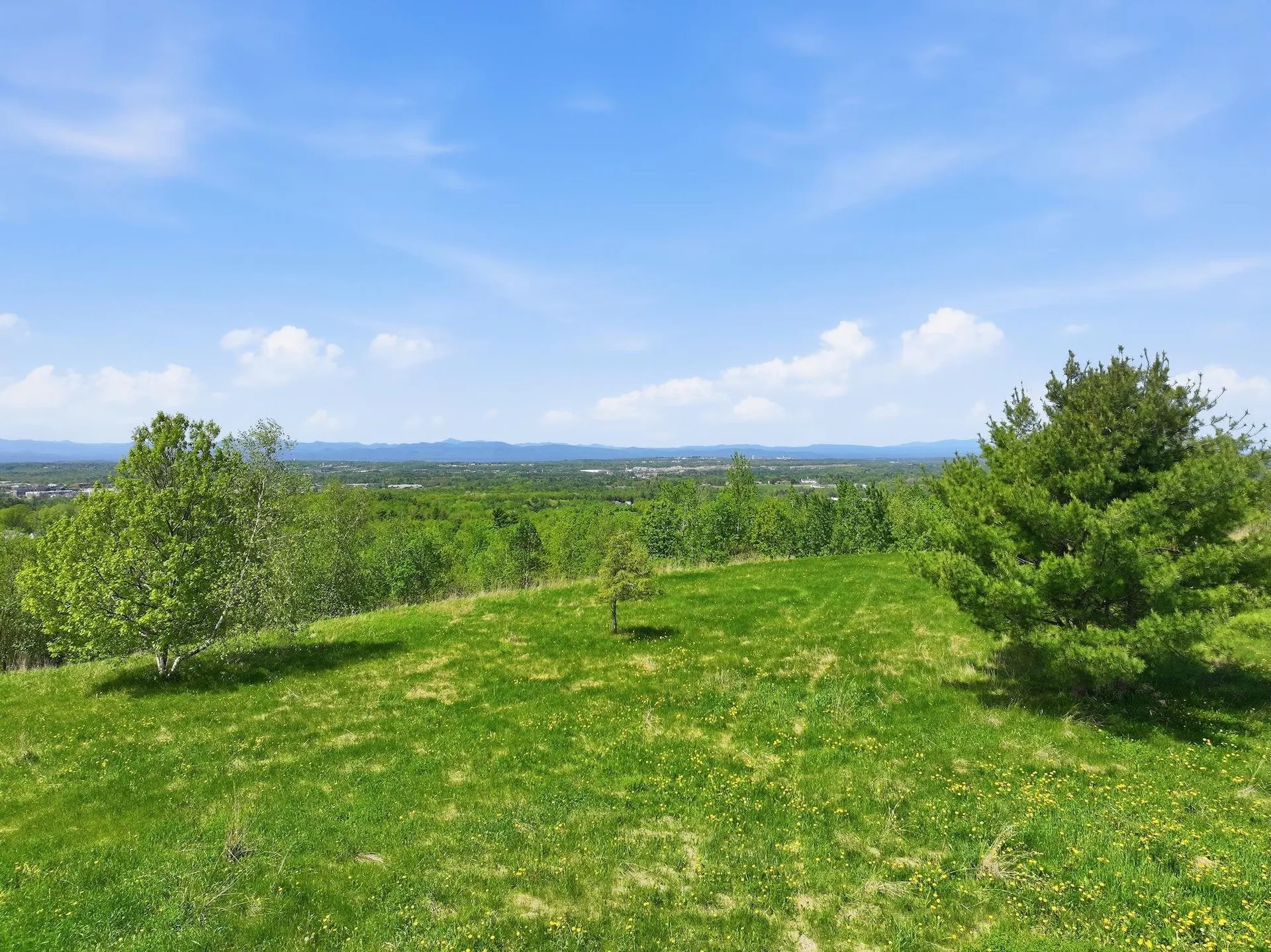 351 Ledgewood Drive Williston VT 05495