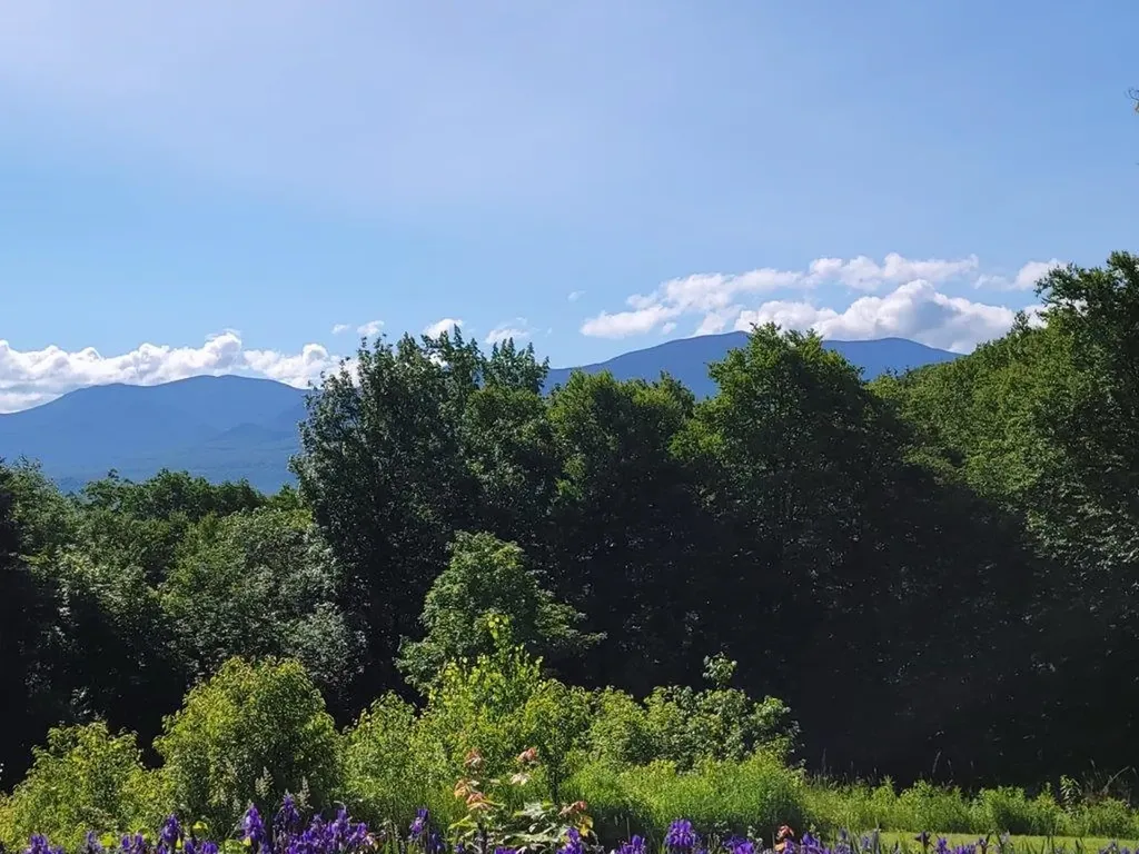 Lot 26 Presidential View Lane Bethlehem NH 03574