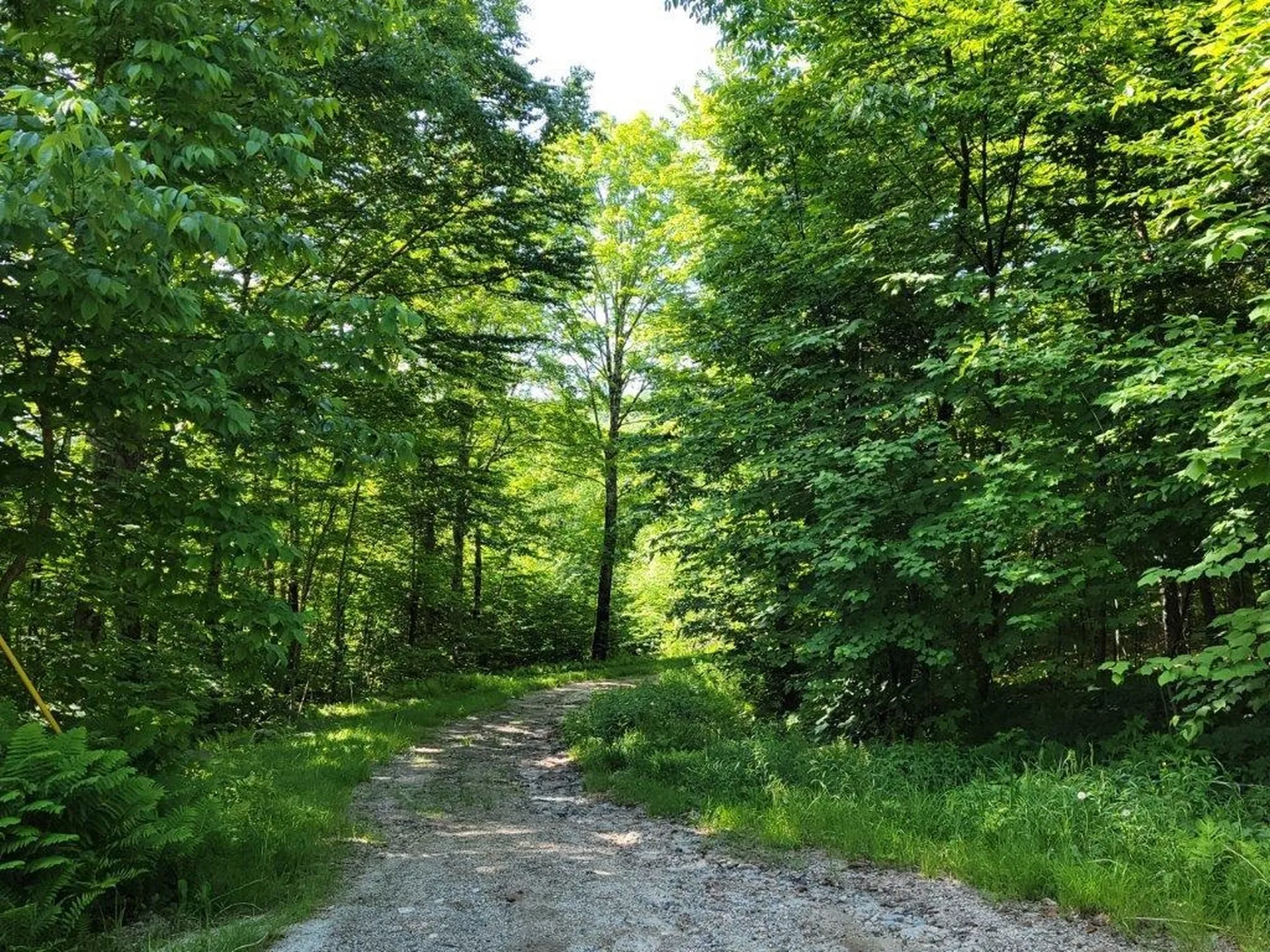 Lot 26 Presidential View Lane Bethlehem NH 03574