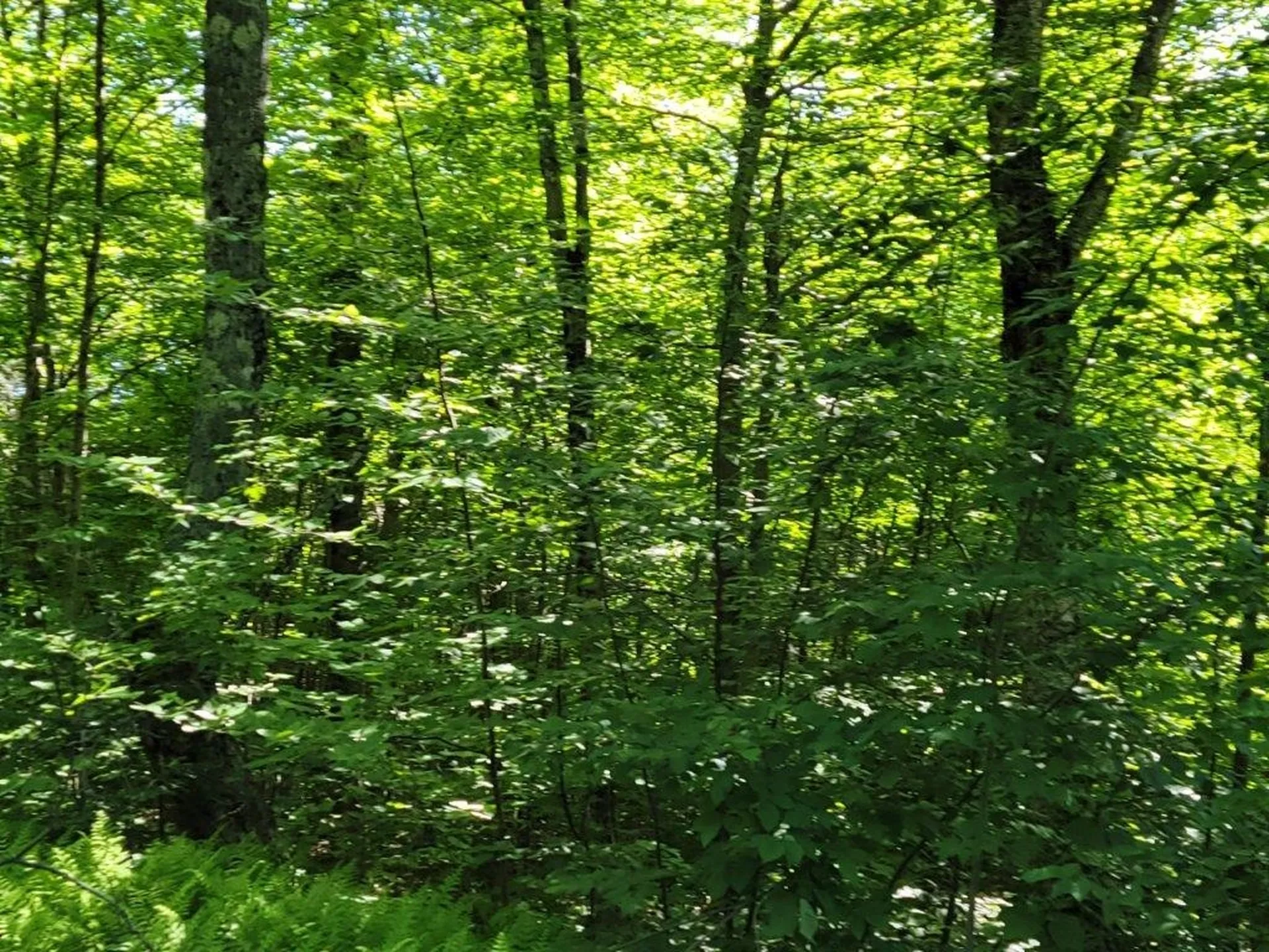 Lot 26 Presidential View Lane Bethlehem NH 03574