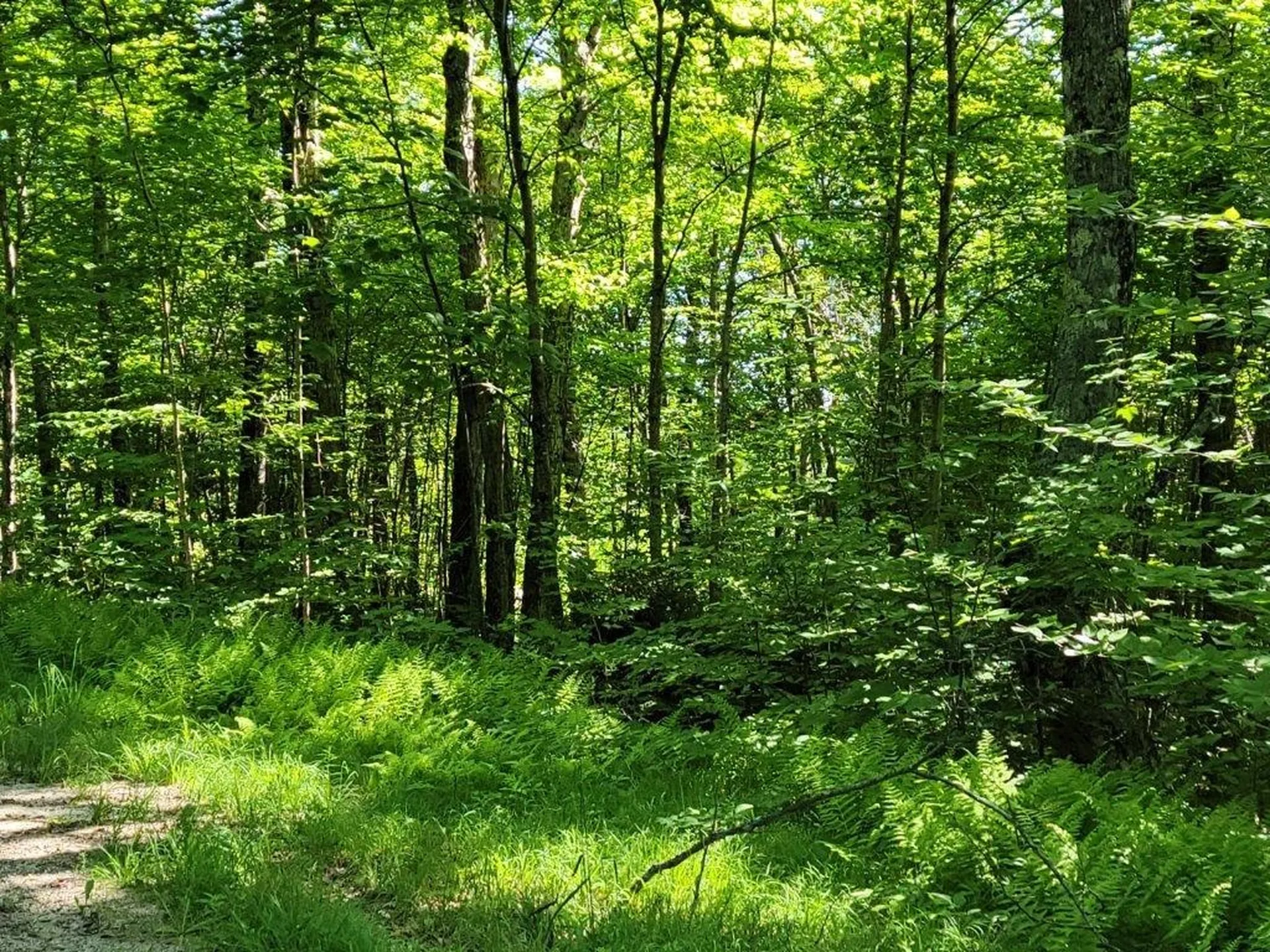 Lot 26 Presidential View Lane Bethlehem NH 03574