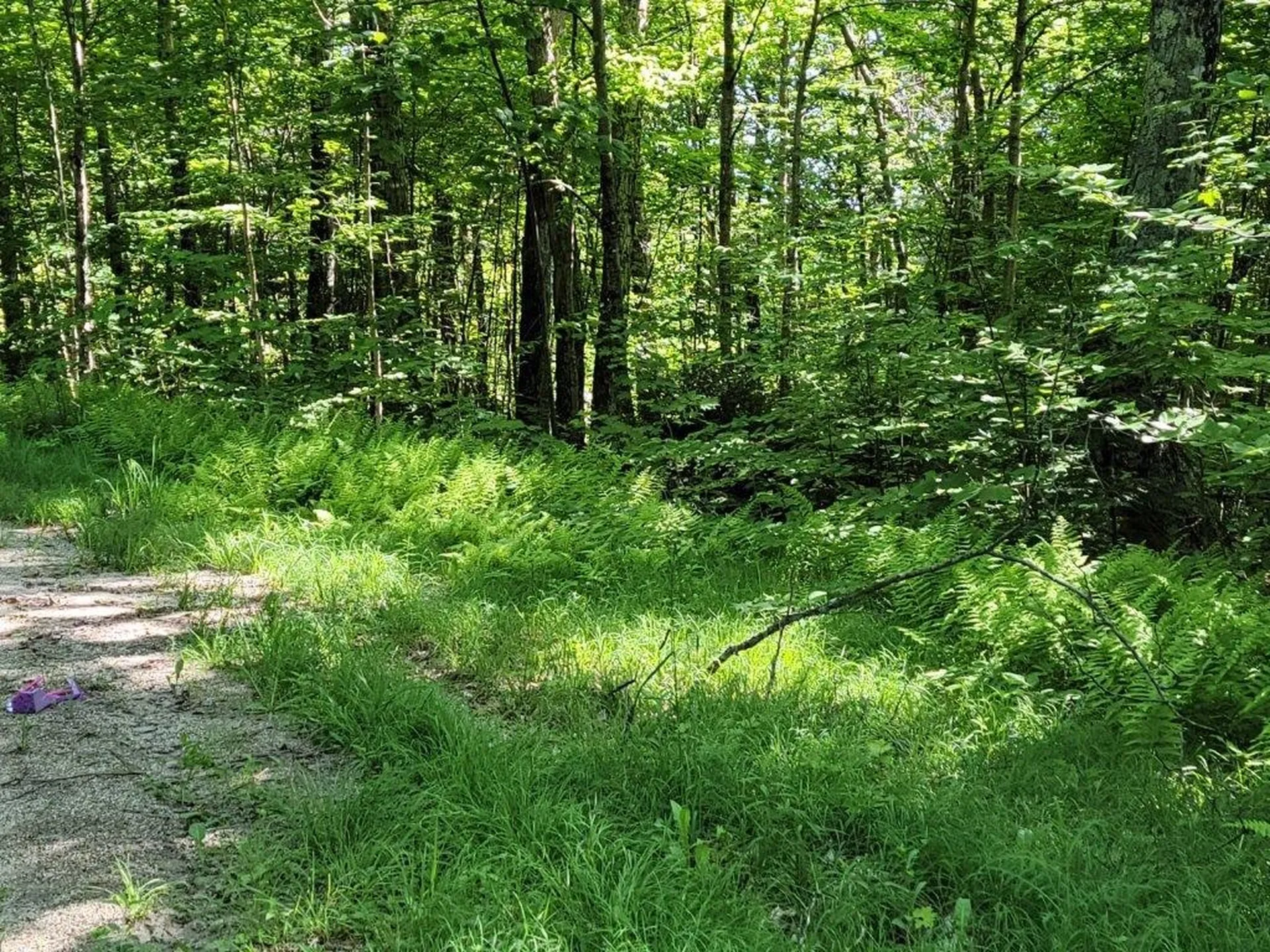 Lot 26 Presidential View Lane Bethlehem NH 03574