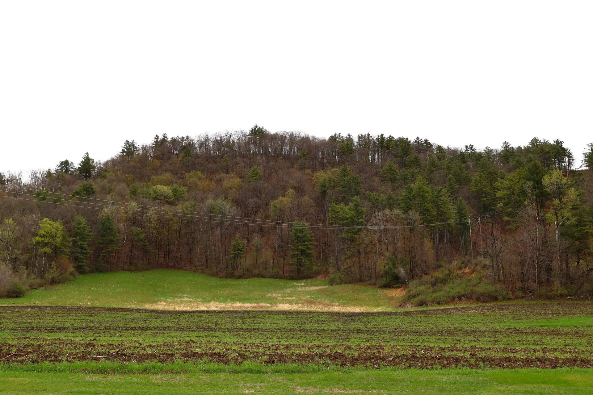 1015 Route 14 Hartford VT 05047