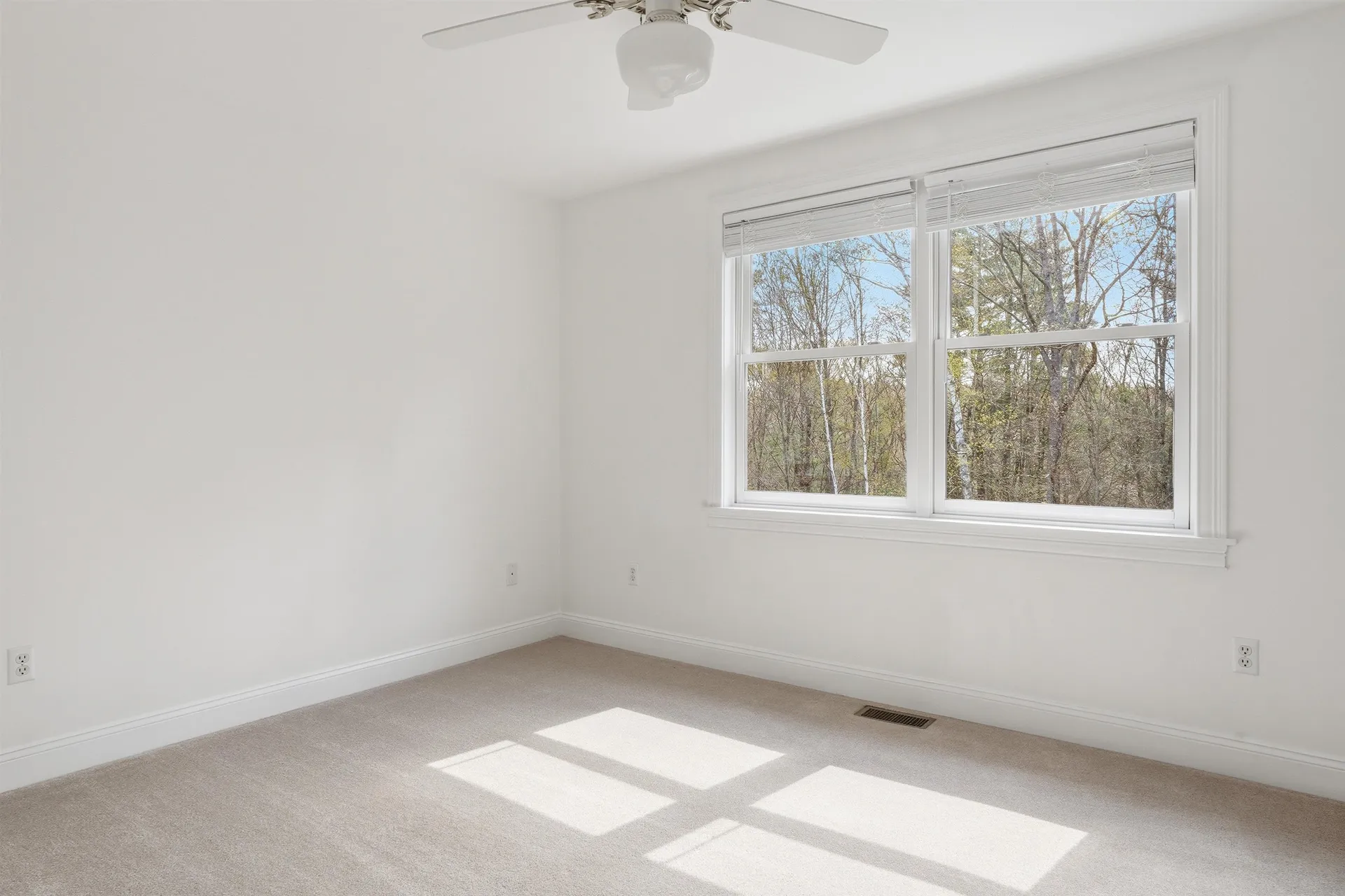43 Bassett Lane Newfields NH 03856