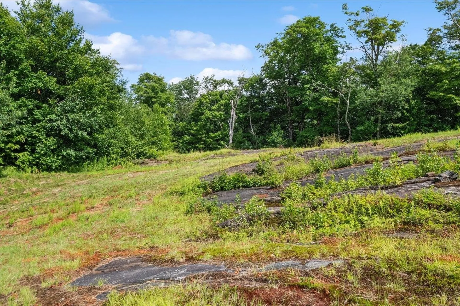 0 Deep Gibou Road Montgomery VT 05471