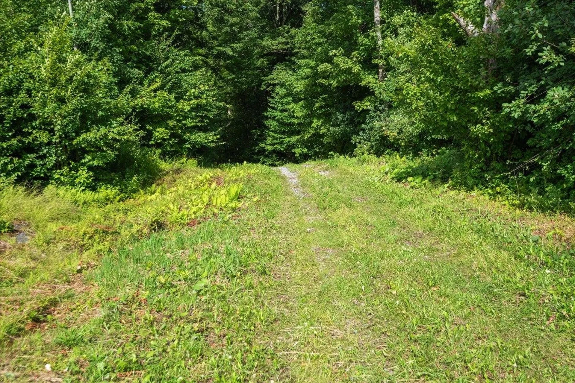0 Deep Gibou Road Montgomery VT 05471