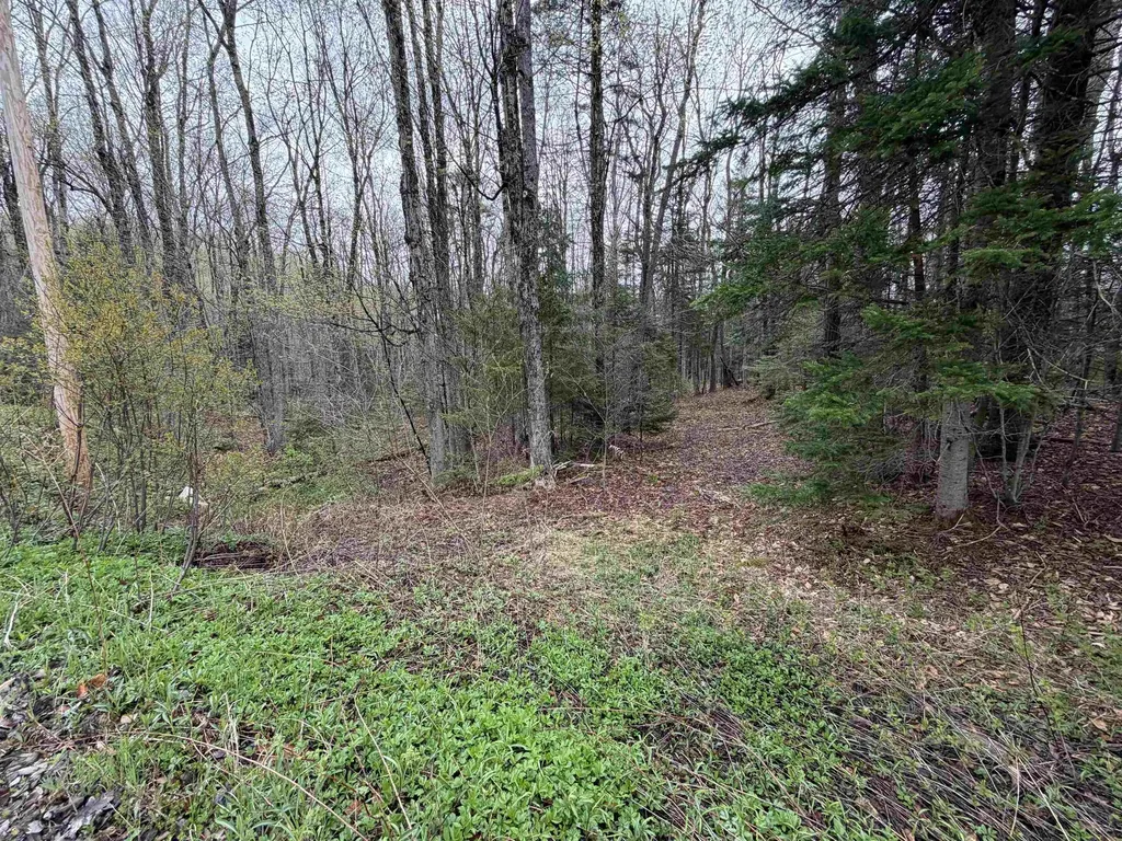 00 Lebensdorf Lane Readsboro VT 05350