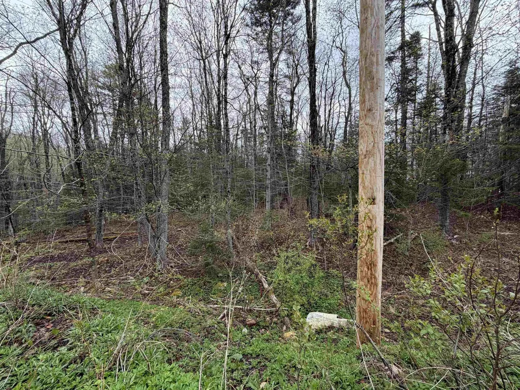 00 Lebensdorf Lane Readsboro VT 05350