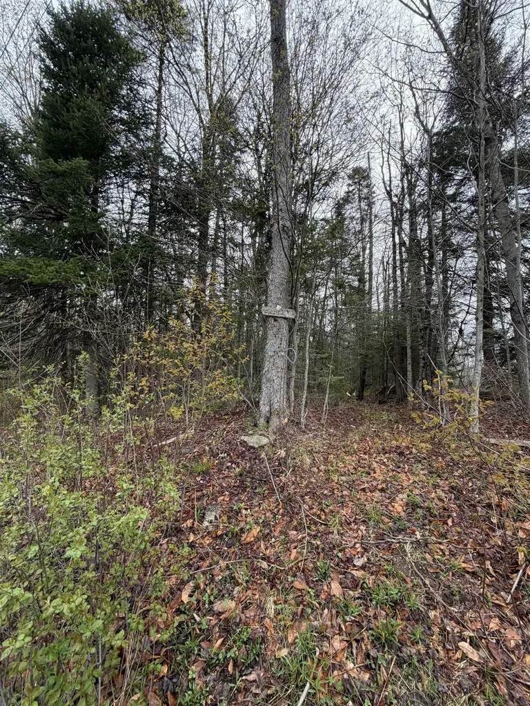 00 Lebensdorf Lane Readsboro VT 05350
