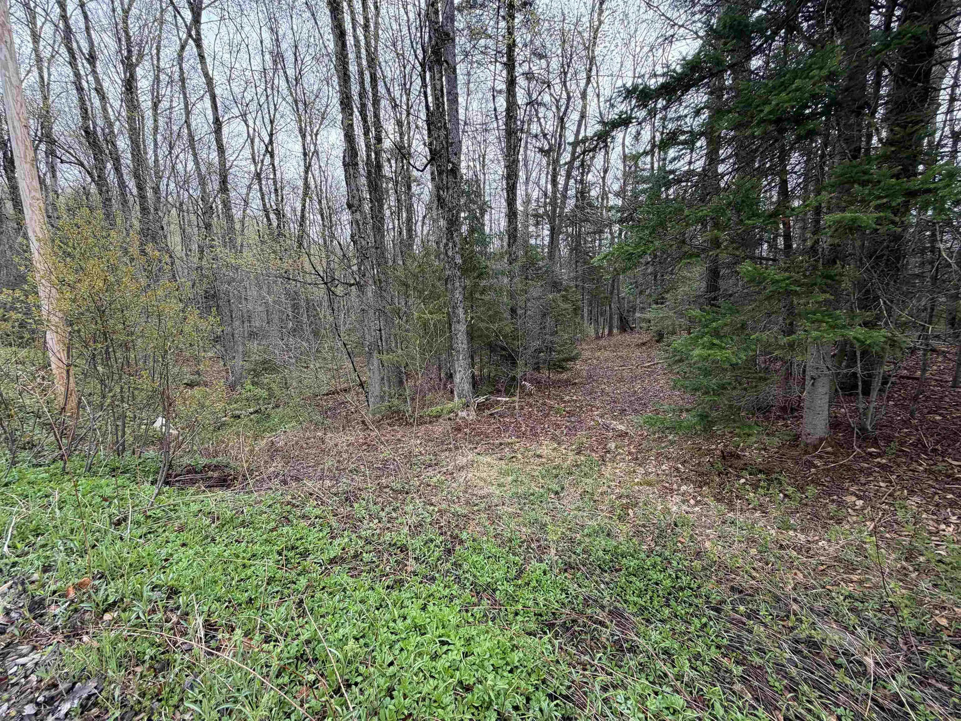 00 Lebensdorf Lane Readsboro VT 05350