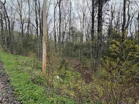 00 Lebensdorf Lane Readsboro VT 05350