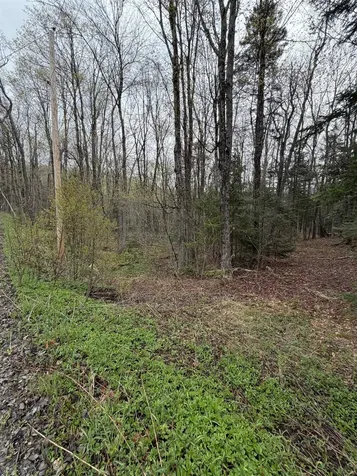 00 Lebensdorf Lane Readsboro VT 05350