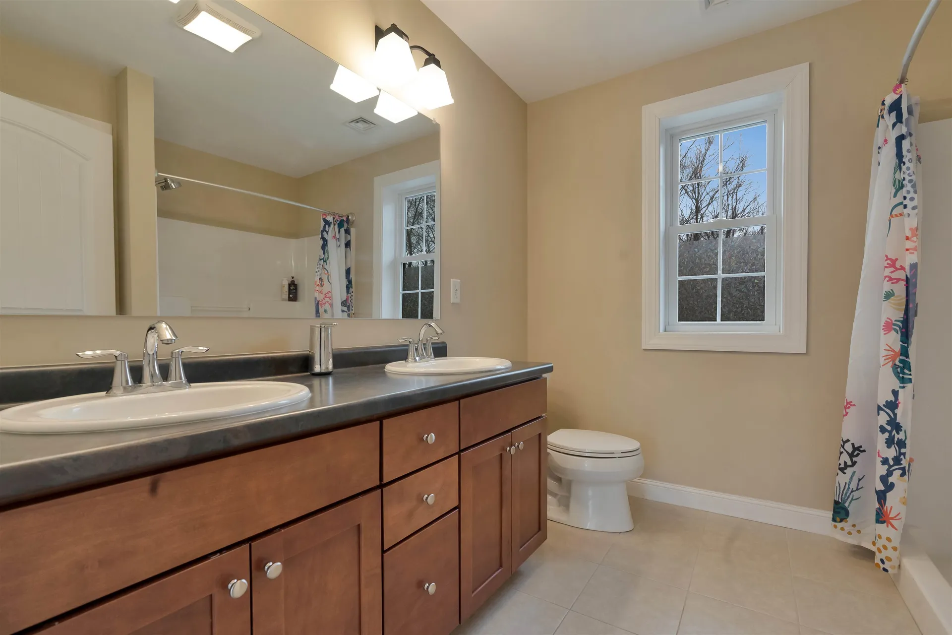58 Village Place Drive Barrington NH 03825