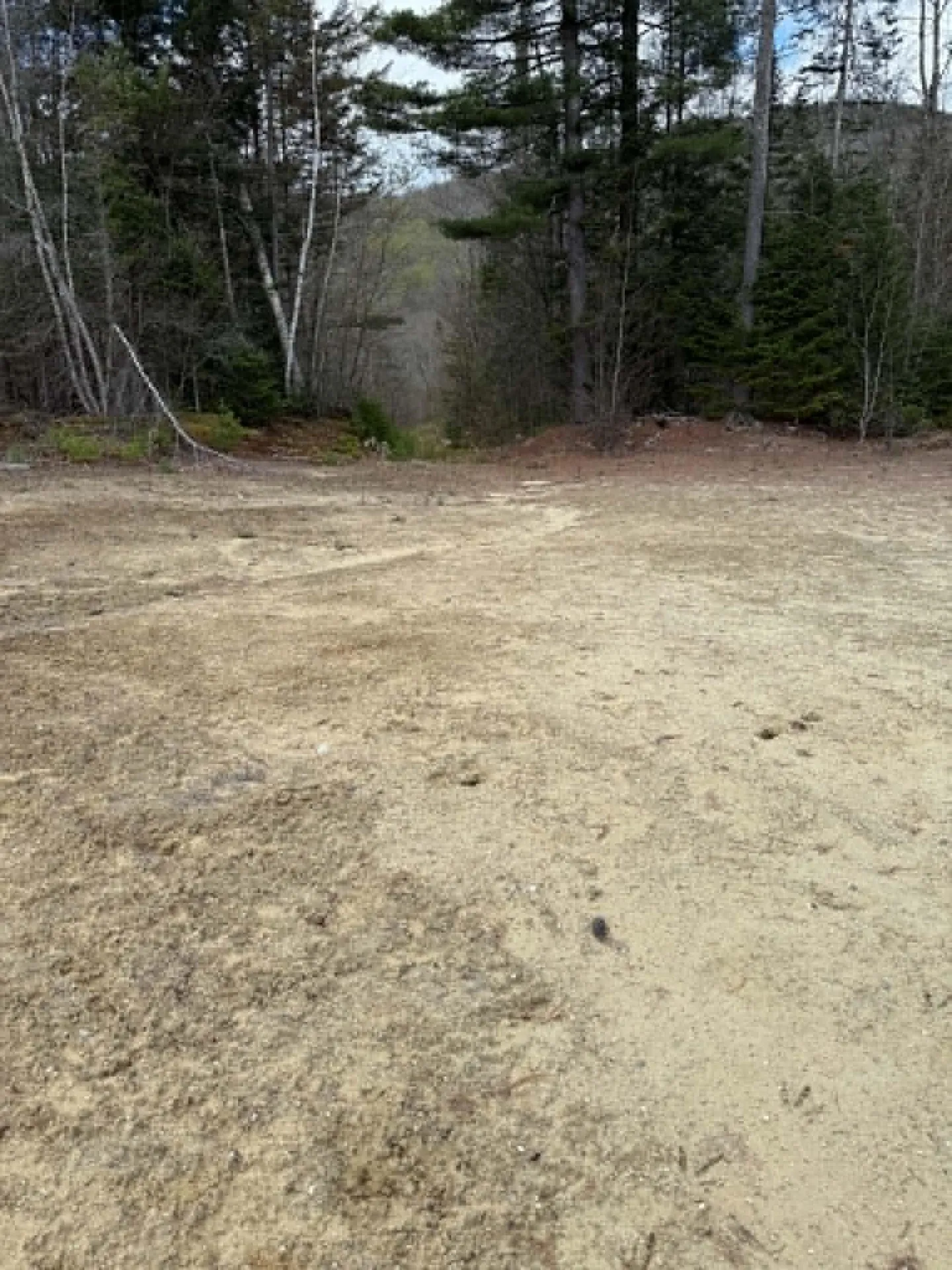 Lot 7 Bog Road Enfield NH 03748