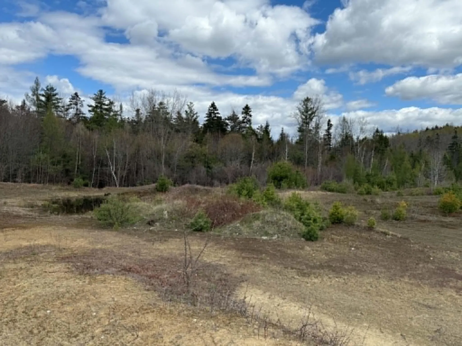 Lot 7 Bog Road Enfield NH 03748