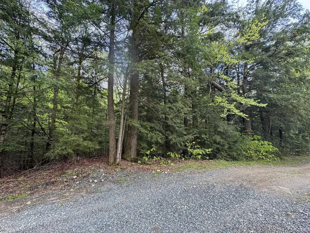 712 Stimpson Hill Road Whitingham VT 05361