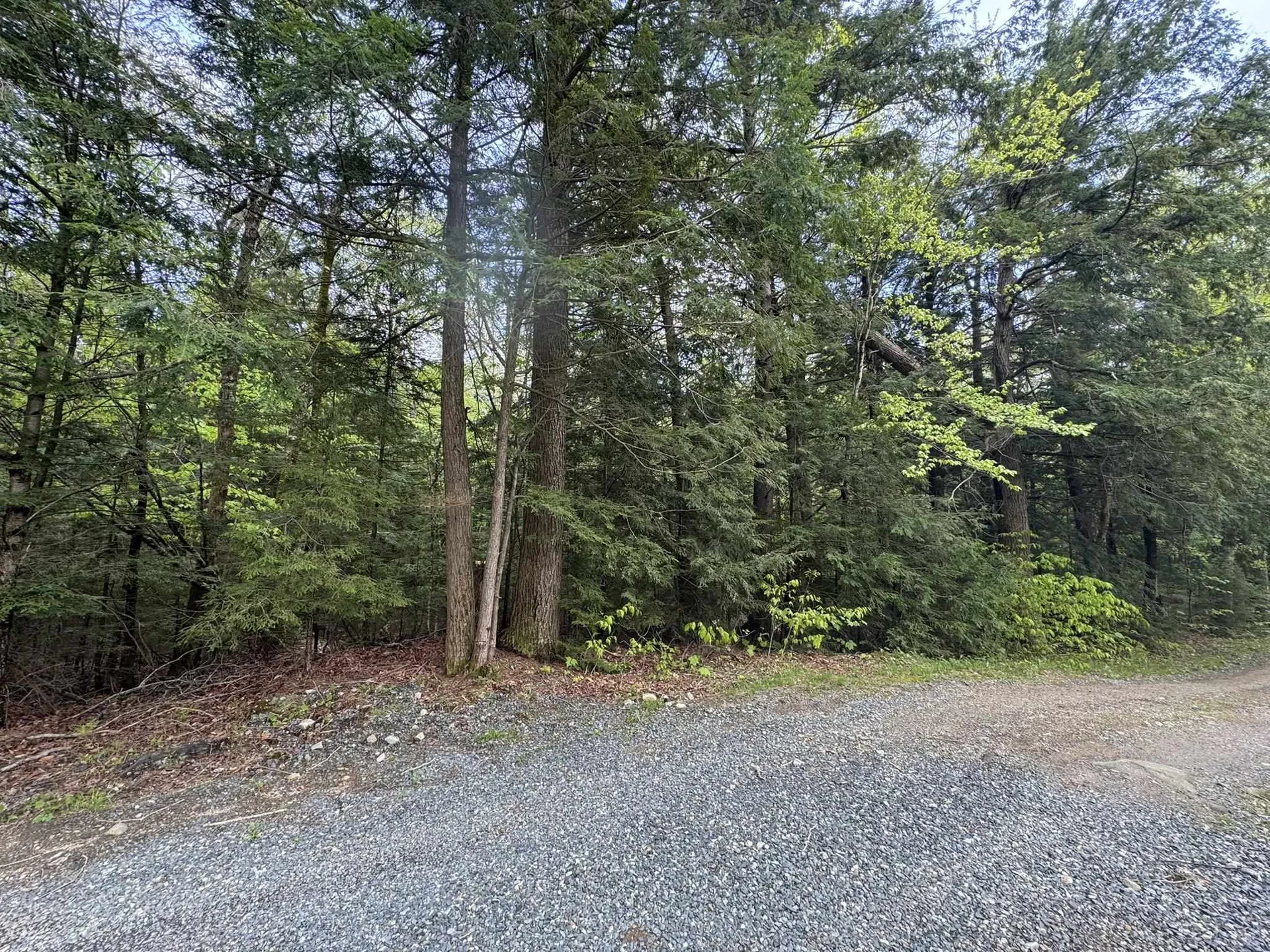 712 Stimpson Hill Road Whitingham VT 05361
