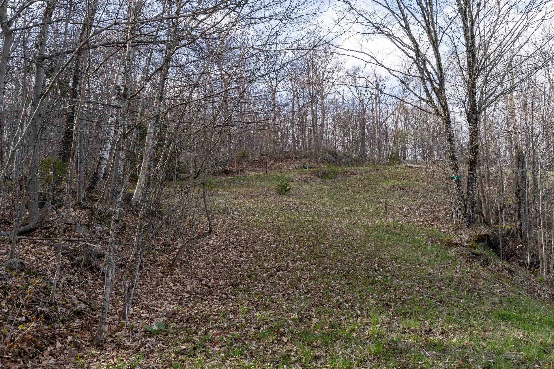 51 Alpine Terrace Killington VT 05751