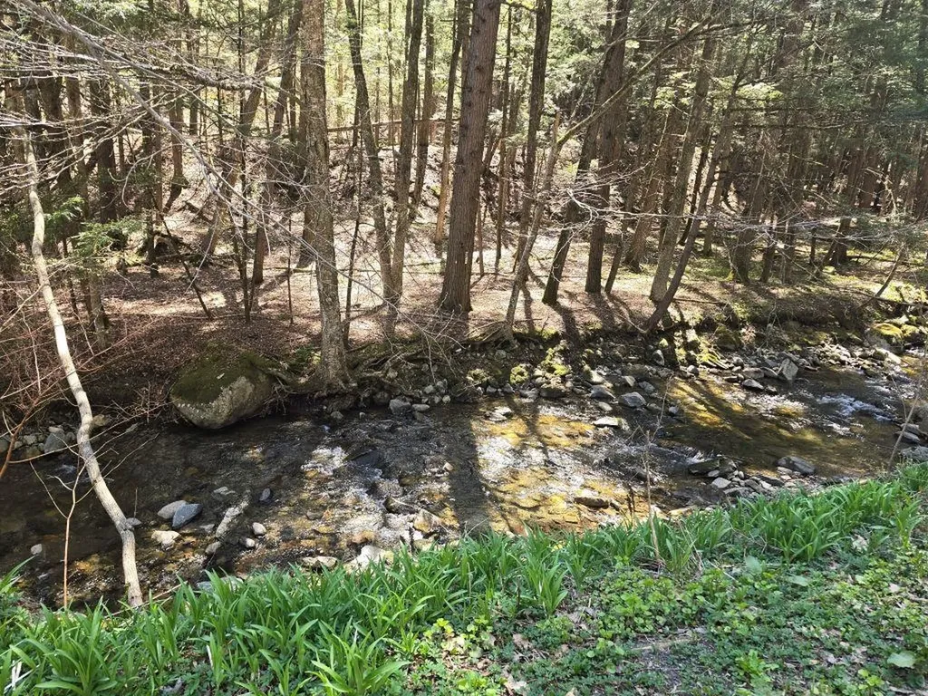 262 Seavers Brook Road Springfield VT 05156