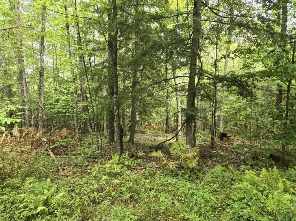 Crotty Drive Rockingham VT 05301
