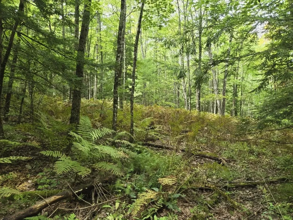 Crotty Drive Rockingham VT 05301