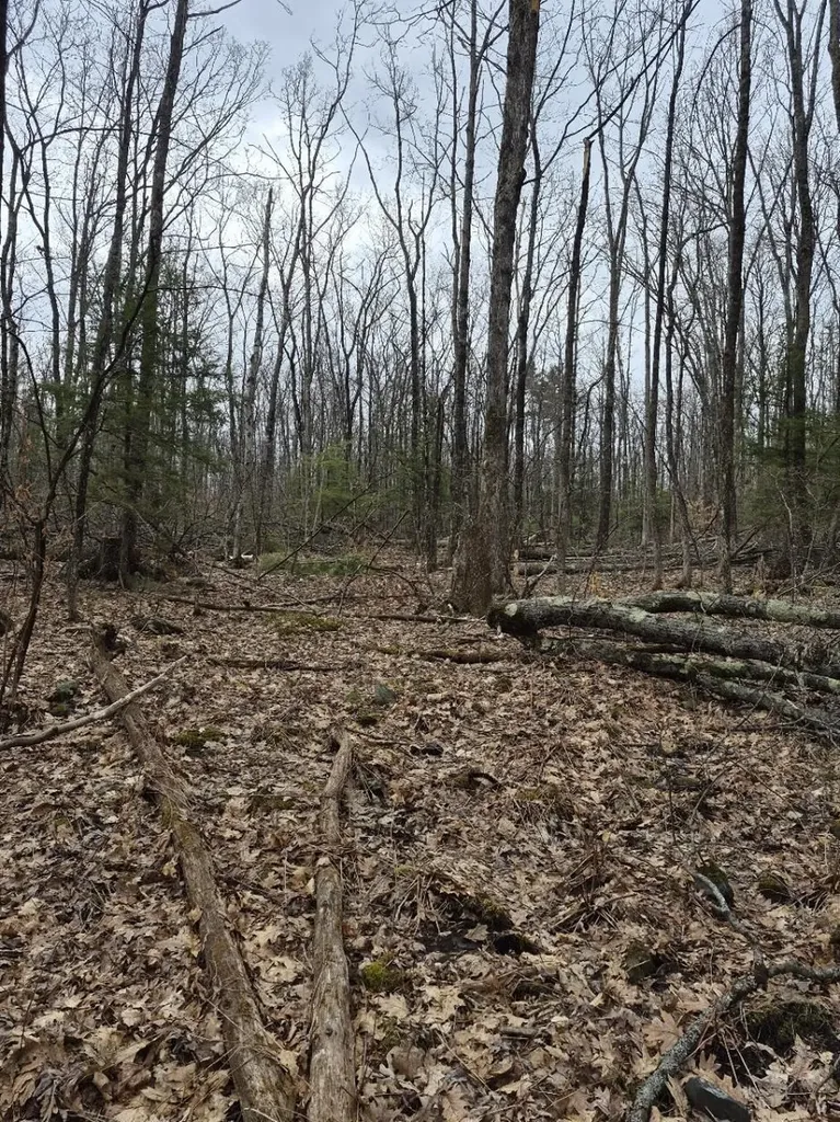 Crotty Drive Rockingham VT 05301