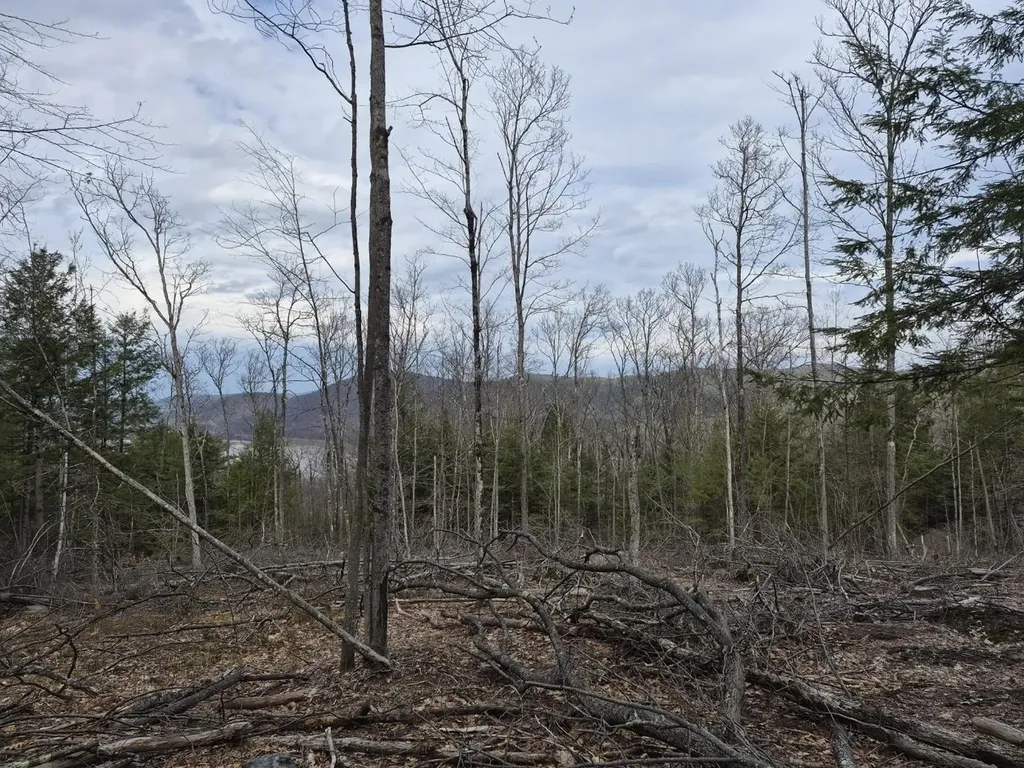 Crotty Drive Rockingham VT 05301
