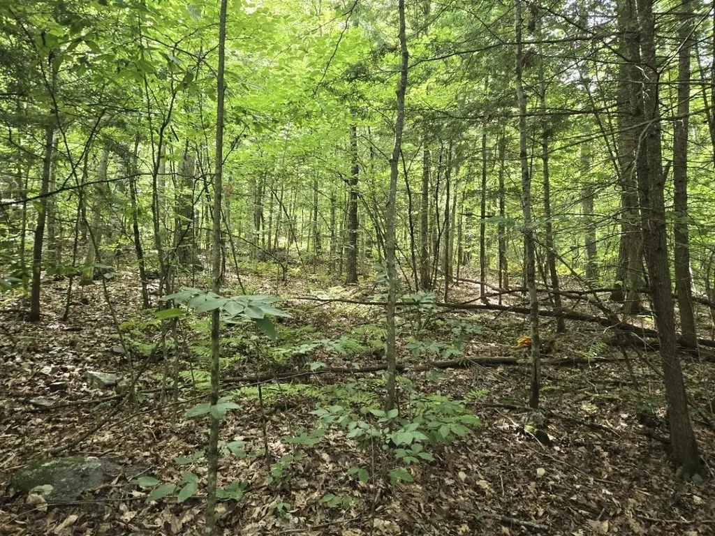 Crotty Drive Rockingham VT 05301
