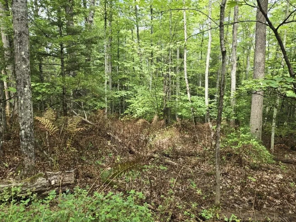 Crotty Drive Rockingham VT 05301