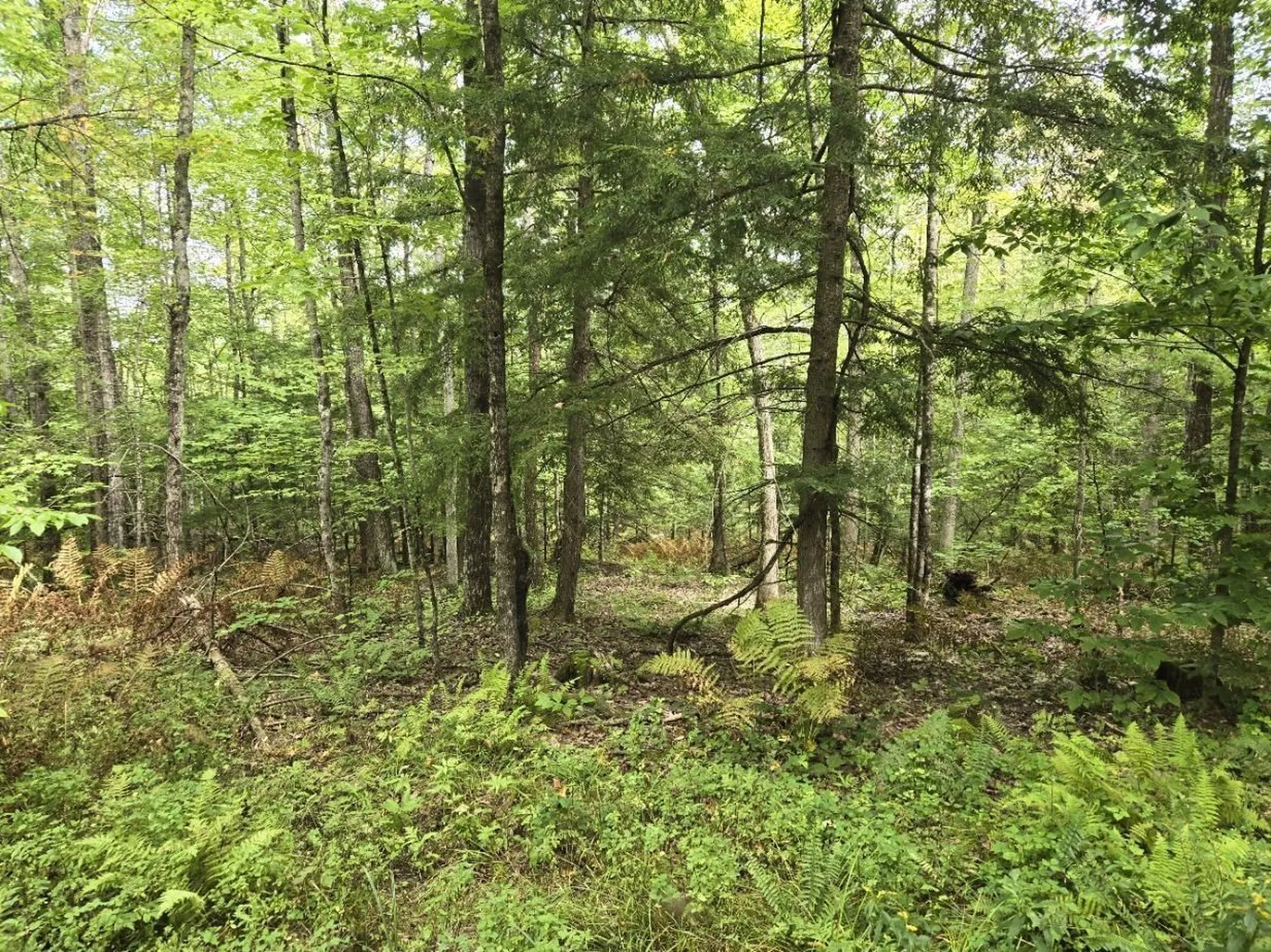 Crotty Drive Rockingham VT 05301