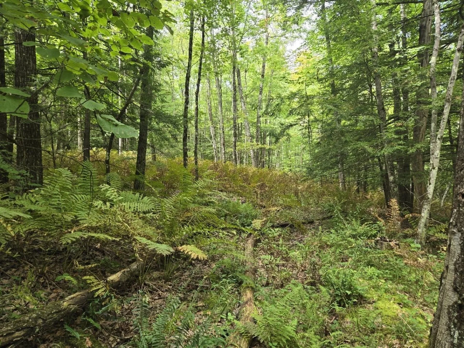 Crotty Drive Rockingham VT 05301