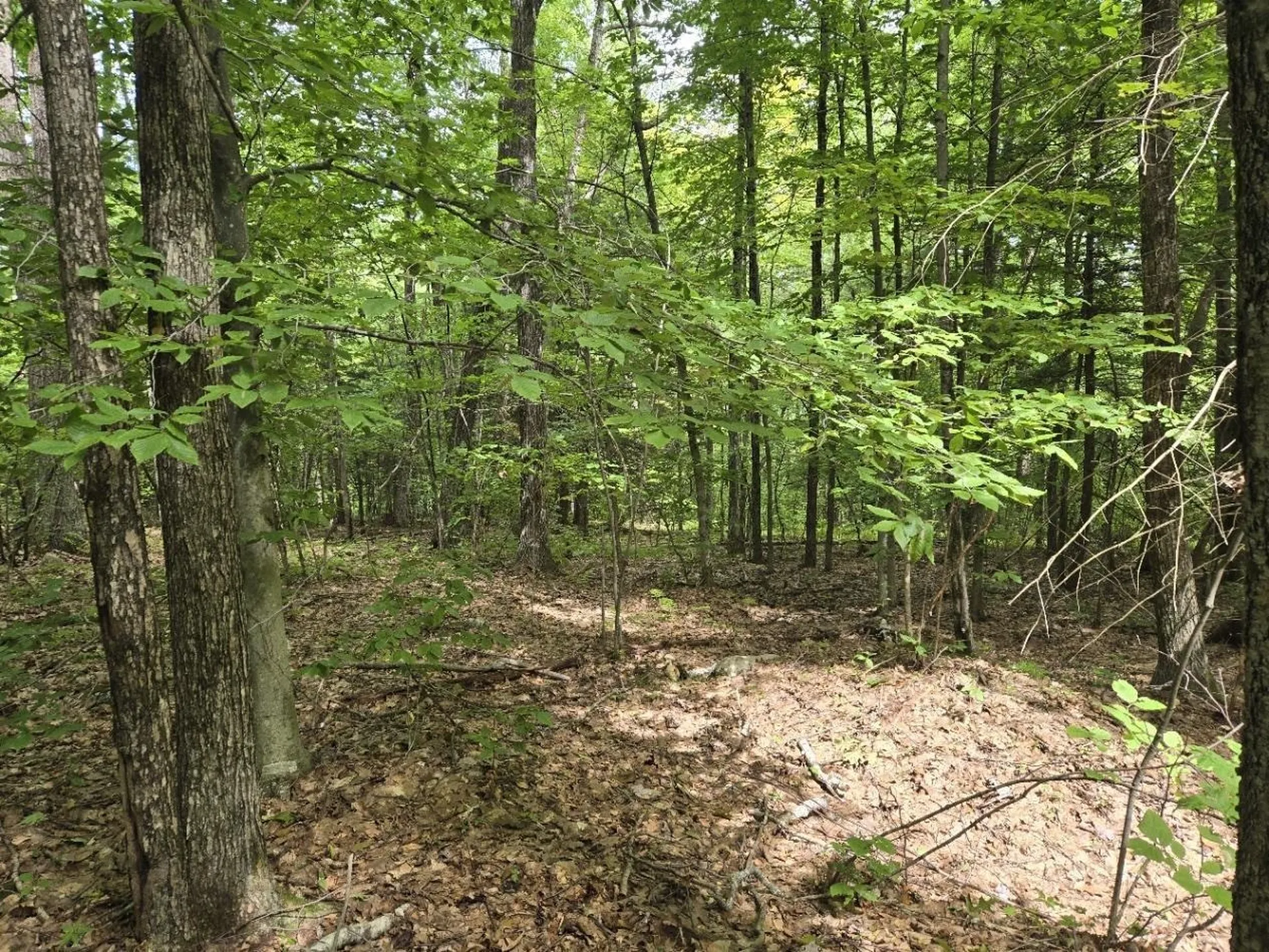 Crotty Drive Rockingham VT 05301