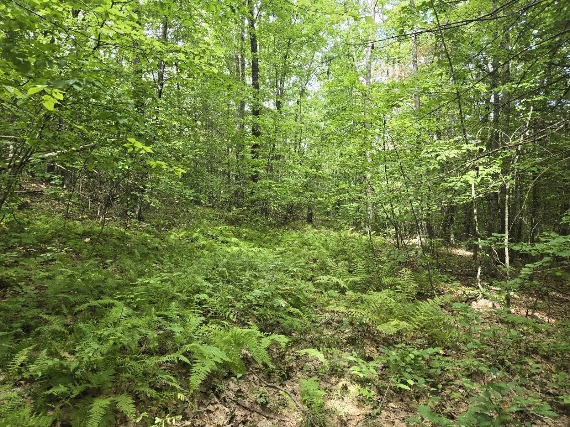 Crotty Drive Rockingham VT 05301