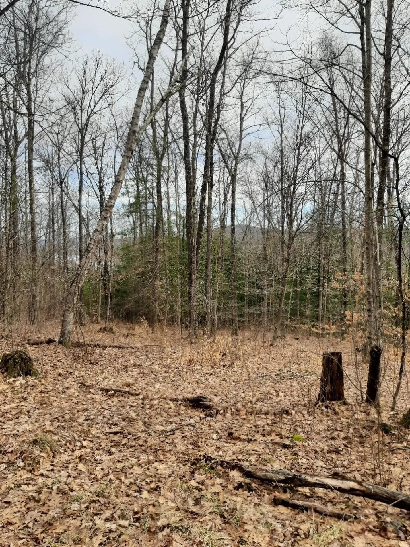 Crotty Drive Rockingham VT 05301