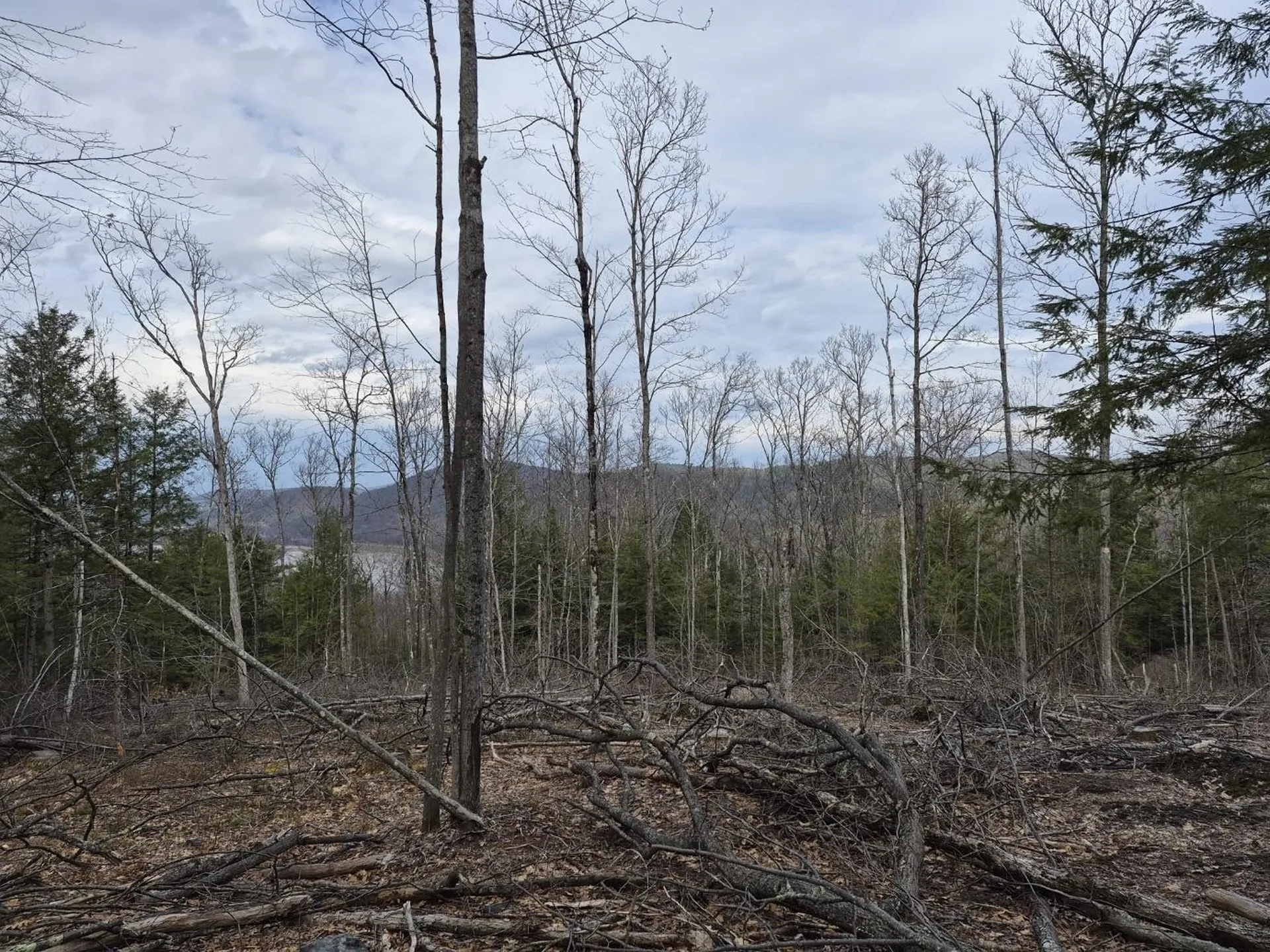 Crotty Drive Rockingham VT 05301