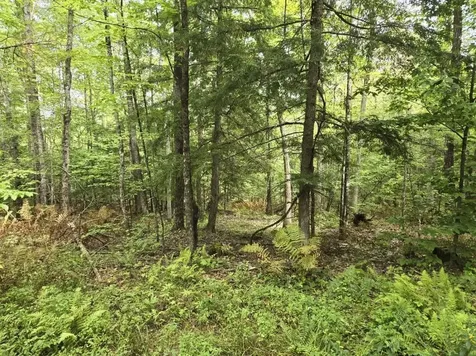 Crotty Drive Rockingham VT 05301