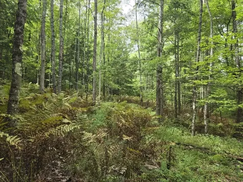 Crotty Drive Rockingham VT 05301