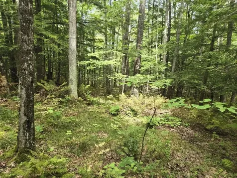 Crotty Drive Rockingham VT 05301